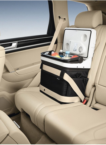 Советы для хранения продуктов: как правильно сложить автохолодильник для поездки