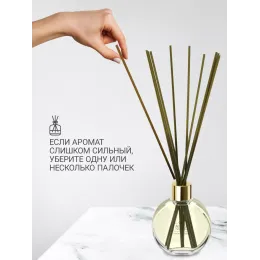 Диффузор для дома с палочками Aroma Republic №19 "Tropical rain", 70 мл