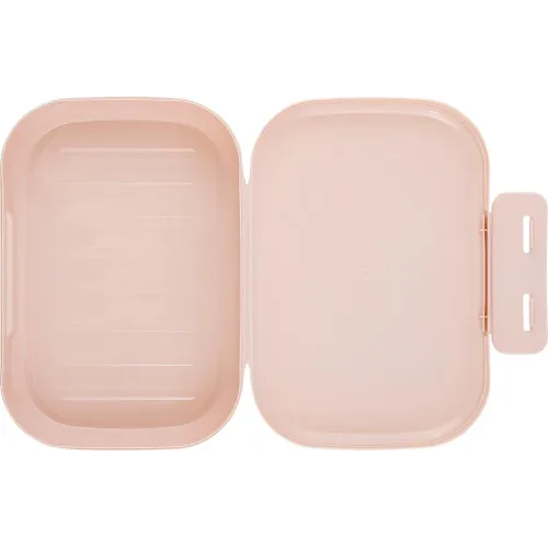 Bolalar lanch-boks Plast Team ANDERSON "Yakka shox" 800 ml