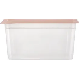 Контейнер для продуктов 4,5 л Plast Team BERGEN персиковая карамель