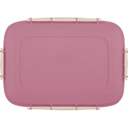 Контейнер 1,3 л для продуктов, Sugar&Spice Вarberry брусника