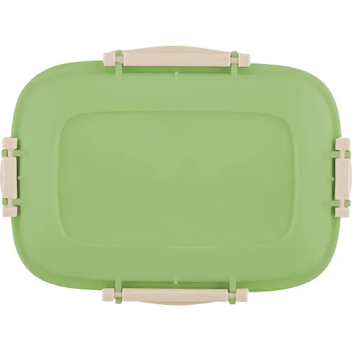 Saqlash idishi 0,45L, Sugar&Spice Вarberry pista