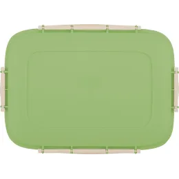 Контейнер 1,3 л для продуктов, Sugar&Spice Вarberry фисташка