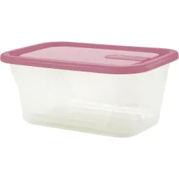 Контейнер 0,2 л для продуктов, Sugar&Spice Honey брусника