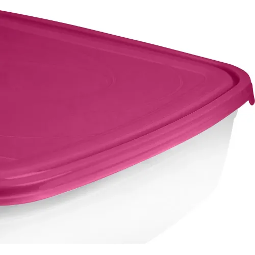 Saqlash idishi 4,85L, Sugar&Spice brusnika