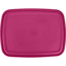 Saqlash idishi 4,85L, Sugar&Spice brusnika