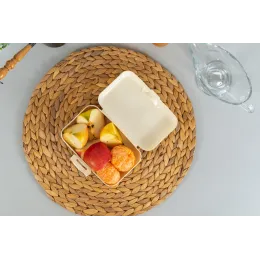 Lanch-boks, oziq-ovqat konteyner 700 ml, Sugar&Spice Honey shampan