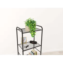 Стеллаж ЗМИ Валенсия 15 графит