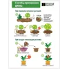 ЦИОН Космо для комнатных растений заменяет все удобрения, 20 кг