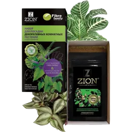 ЦИОН Набор для посадки декоративных комнатных растений